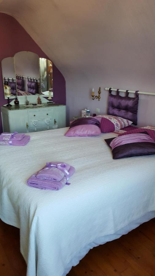 Au Berceau Du Loup Agile Bed & Breakfast Offendorf Екстериор снимка
